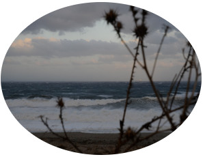 Read more about the article Δράσεις