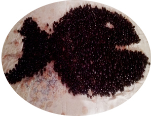 Read more about the article Έπιπλο